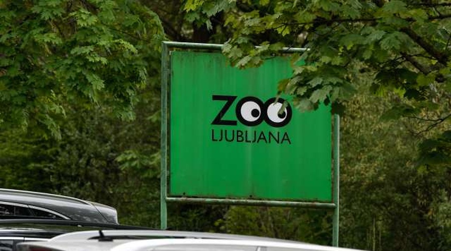 V ZOO Ljubljana ponovno odprta vivarij in otroški živalski vrt (foto: Nebojša Tejić/STA)