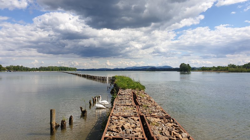 Ptujsko jezero