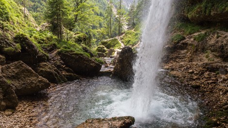 Na voljo brezplačen prevoz do muzejev in alpskih dolin