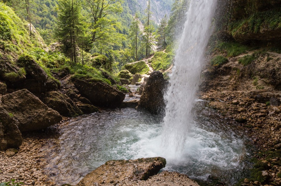 Na voljo brezplačen prevoz do muzejev in alpskih dolin (foto: Profimedia)