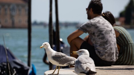 Po odprtju meja so v Italijo hitro prispeli prvi turisti