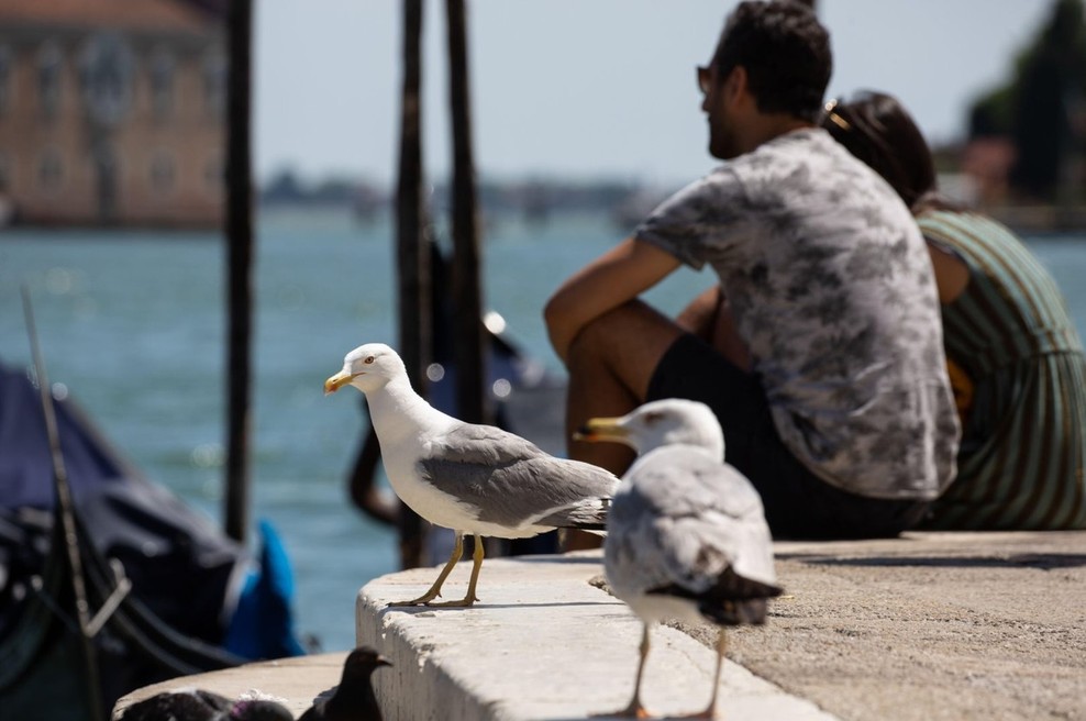 Po odprtju meja so v Italijo hitro prispeli prvi turisti (foto: profimedia)
