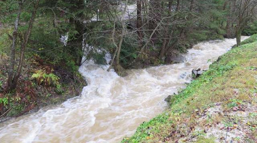 Zaradi padavin možna razlivanja rek in hudourniških vodotokov (foto: Andreja Seršen Dobaj/STA)