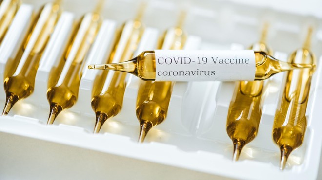 Slovenija bi lahko v sklopu evropskega dogovora prvo rundo cepiva prejela pred koncem leta (foto: profimedia)