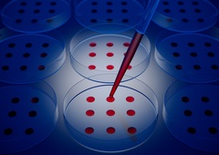 Krvna skupina lahko vpliva na potek covida-19