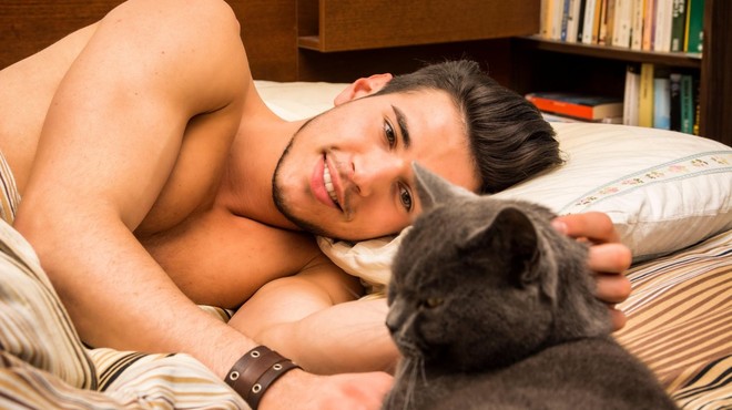 Ženske uporabnice aplikacij za zmenke niso navdušene nad moškimi z mački (foto: profimedia)
