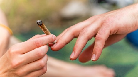 Slovenski 15-letniki po uporabi konoplje na samem vrhu
