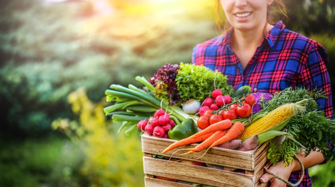 10 receptov veganske strokovnjakinje (za kakovostne zajtrke, kosila in večerje) (foto: Shutterstock)