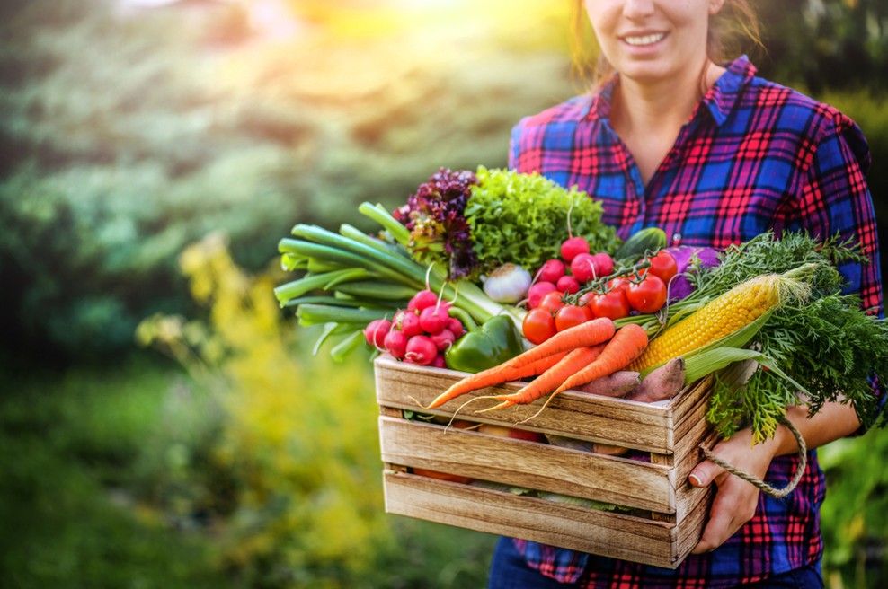 10 receptov veganske strokovnjakinje (za kakovostne zajtrke, kosila in večerje) (foto: Shutterstock)