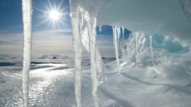 Znanstveniki se bojijo posledic taljenja arktičnega ledu (foto: profimedia)