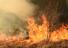 Na severu Floride divjata dva večja požara