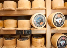 Med avtohtonimi izdelki s Paga bo poleg sira kmalu znana tudi konoplja