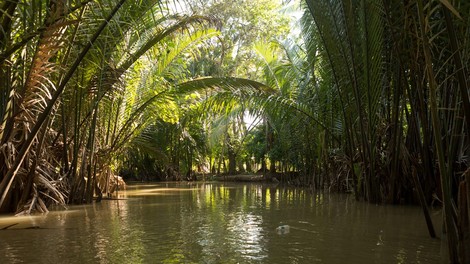 Znanstveniki odkrili nove živalske in rastlinske vrste v divjini ob reki Mekong