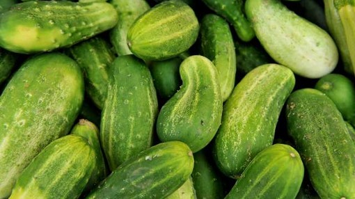 Prodaja kumaric na tržnicah manjša, cene pa so čedalje višje