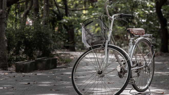 Na Gorenjskem so zagnali mrežo za izposojo koles Gorenjska.bike (foto: Profimedia)
