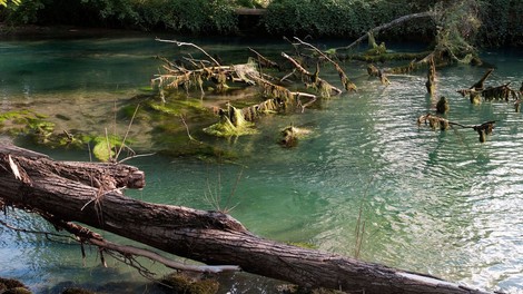 Vipava po desetletjih z dovolj čisto vodo, ki je primerna za kopanje