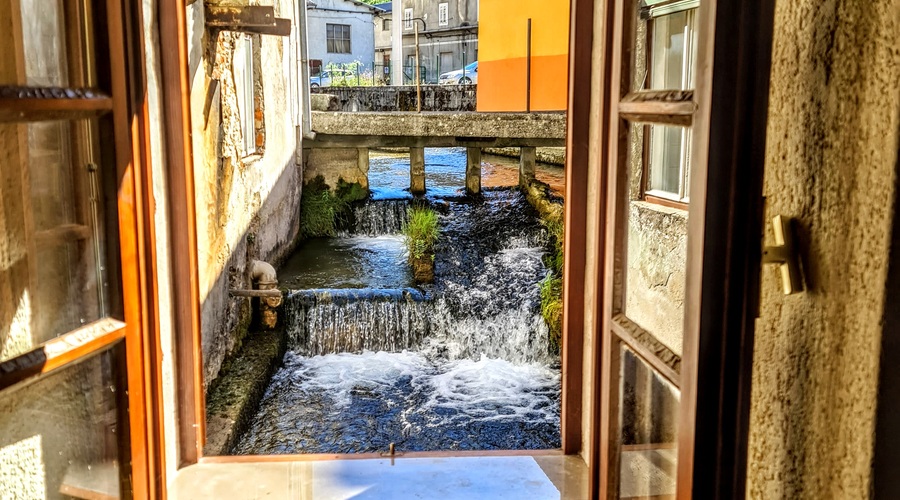 Kraška zelena pustolovščina: od čebelarskega doma do vojaškega muzeja (foto: D.L.)