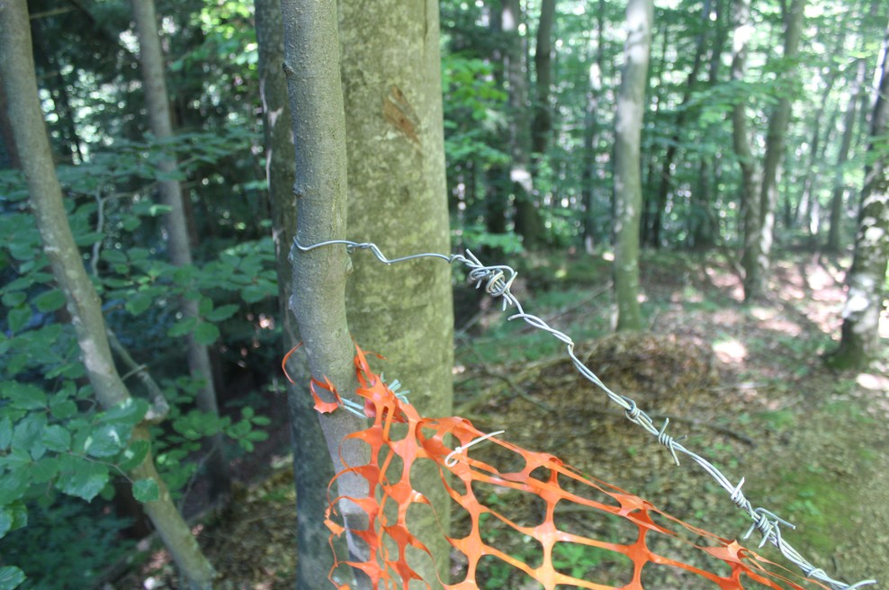 Policisti ovadili 50-letnega Rušana, ki naj bi čez gozdno pot napel plastično mrežo in bodečo žico (foto: PP Ruše)