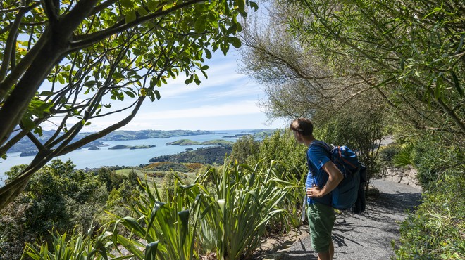 Nova Zelandija sto dni brez prenosa okužbe živi vsakdanje življenje (foto: profimedia)