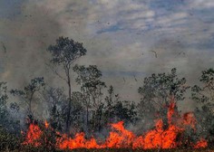Brazilski predsednik Jair Bolsonaro požare v Amazoniji označil za laž
