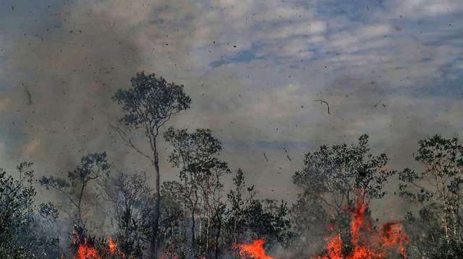 Brazilski predsednik Jair Bolsonaro požare v Amazoniji označil za laž (foto: Xinhua/STA)