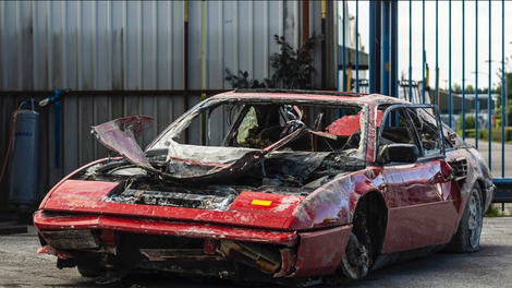 Bo potopljeni Ferrari postal atrakcija v živalskem vrtu?