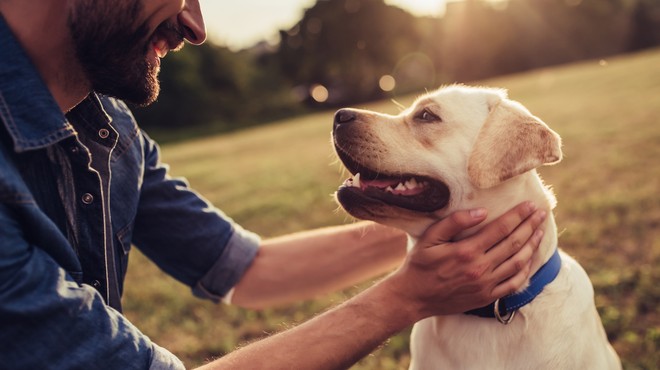 V Nemčiji odpravljajo verige in zapovedujejo sprehod psa vsaj dvakrat na dan (foto: Shutterstock)