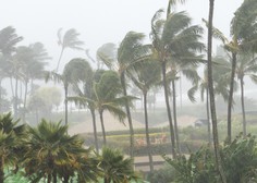 Tropski nevihti Marco in Laura razdejali Karibe, kot orkana se približujeta ZDA
