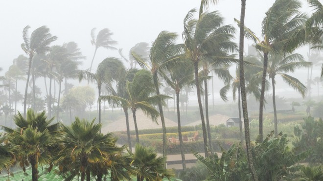 Tropski nevihti Marco in Laura razdejali Karibe, kot orkana se približujeta ZDA (foto: Shutterstock)