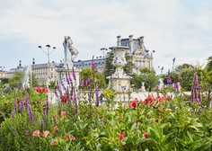Modna znamka Kenzo Parfums in muzej Louvre združila moči za impresiven cvetlični vrt