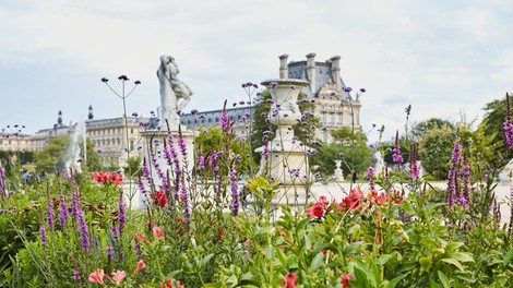 Modna znamka Kenzo Parfums in muzej Louvre združila moči za impresiven cvetlični vrt