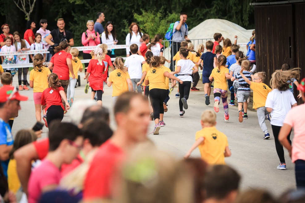 Kljub odpovedi Triglav teka so organizatorji porodnišnicam predali tradicionalno donacijo (foto: Triglav)