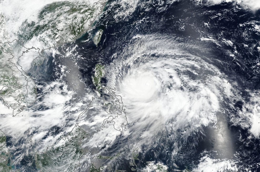 Jugozahodno od Japonske potonila tovorna ladja s 43 ljudmi in 5800 glavami živine (foto: Profimedia)