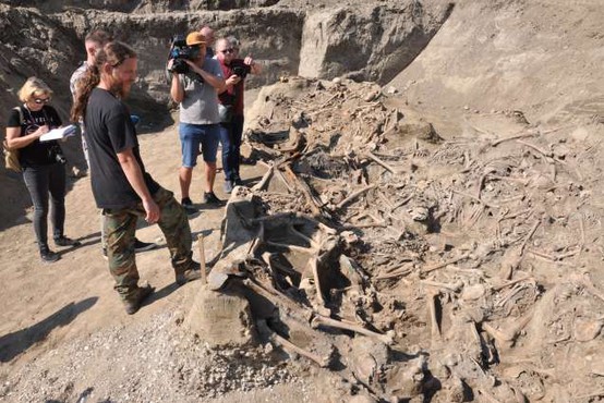 Pri Brežicah našli množično grobišče pobitih po drugi svetovni vojni