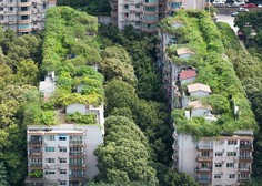 Žalostna usoda zelenega eksperimenta: zapuščena stanovanja, ker ljudje tam nočejo več živeti!