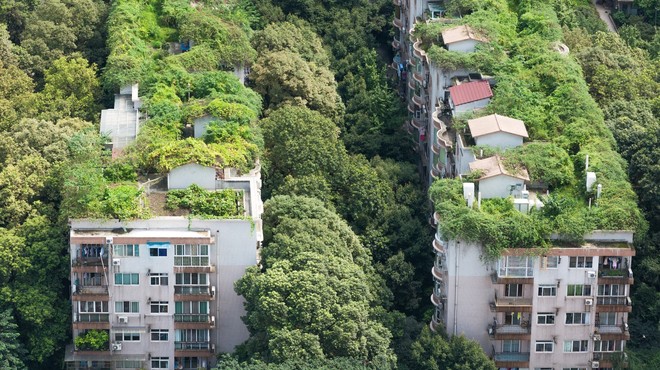 Žalostna usoda zelenega eksperimenta: zapuščena stanovanja, ker ljudje tam nočejo več živeti! (foto: profimedia)