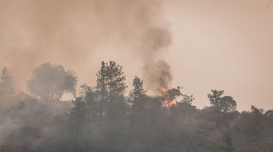 Požar v Ajdovščini, ki ga je hitro razpihovala burja, pod nadzorom (foto: profimedia)