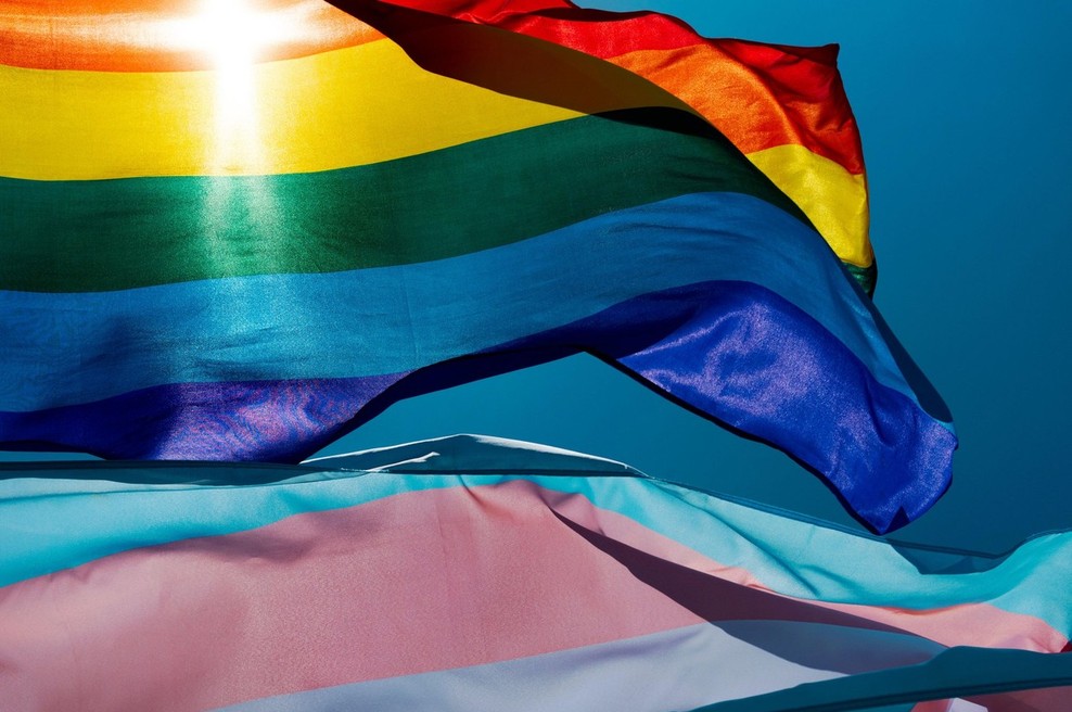 Skupnost LGBTIQ+ ob bok svojim pravicam postavila pravice širše civilne družbe (foto: profimedia)