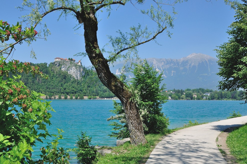 Unovčenih za 113 milijonov evrov turističnih bonov (foto: Profimedia)