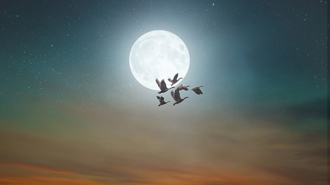 Današnja polna luna je zelo močna (in nosi s seboj tudi zdravilno moč)