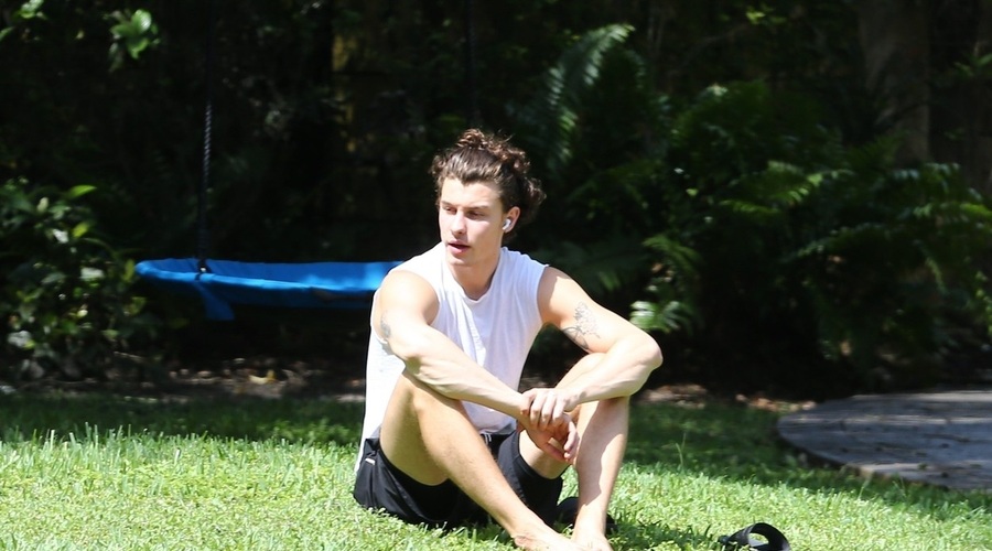 Shawn Mendes napovedal nov album z interaktivno spletno stranjo (foto: profimedia)