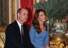 Princ William ustanovil okoljsko nagrado za inovativne rešitve