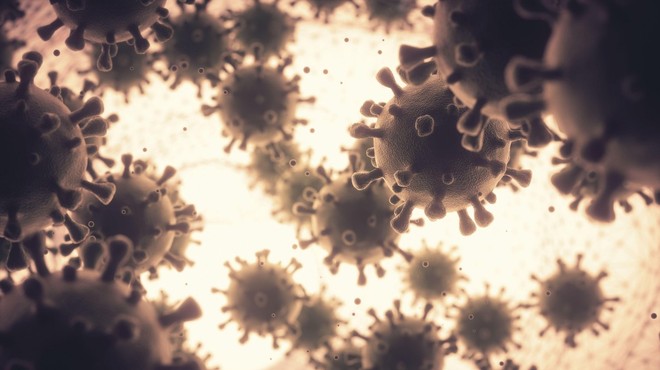 Zagovorniki čredne imunosti so v nevarni zmoti, svarijo strokovnjaki (foto: profimedia)