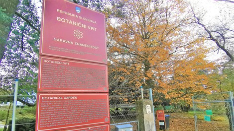 Počitniška ideja za Ljubljančane: sprehod skozi jesenski botanični vrt