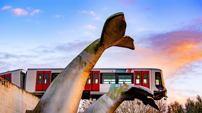 Skulptura kita na Nizozemskem "rešila" vlak podzemne železnice (foto: Profimedia)