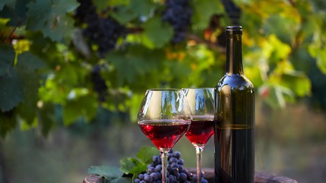 Vinogradniki in vinarji danes obeležujejo martinovo, a letos brez množičnih prireditev