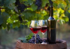 Vinogradniki in vinarji danes obeležujejo martinovo, a letos brez množičnih prireditev