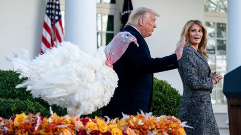 Trump pomilostil prazničnega purana, a za razliko od prejšnjih let tokrat ni želel odgovarjati na vprašanja novinarjev