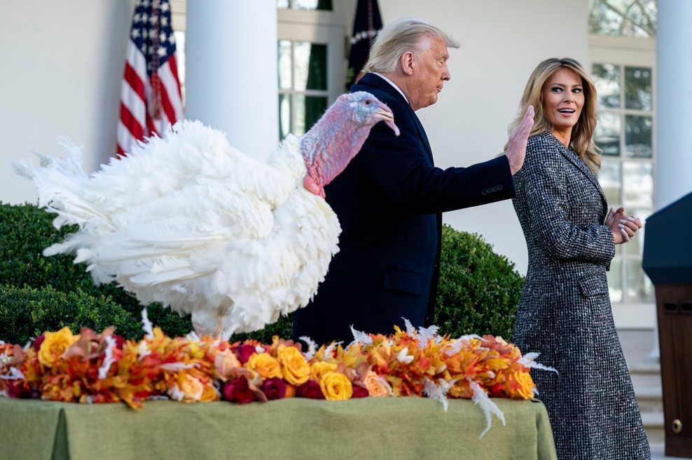 Trump pomilostil prazničnega purana, a za razliko od prejšnjih let tokrat ni želel odgovarjati na vprašanja novinarjev (foto: Shutterstock)