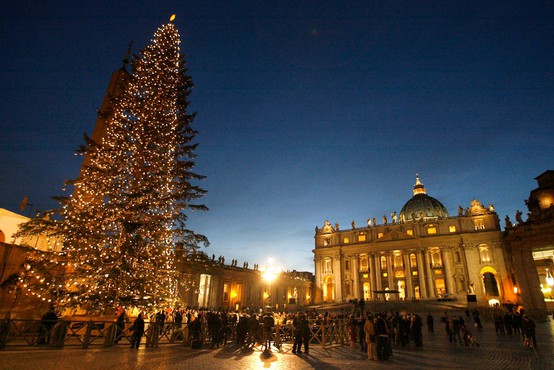 Slovenija bo letos praznično okrasila Vatikan, 75 let staro božično drevo iz Kočevja že na poti